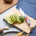 Opinel Edition Escapade N°08 Elevation - Image 2