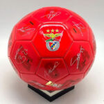 Bola Futebol SLBenfica Assinaturas 2025 - 2026 Vermelha