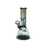 Bongo VIDRO BH 74 166 INDICA